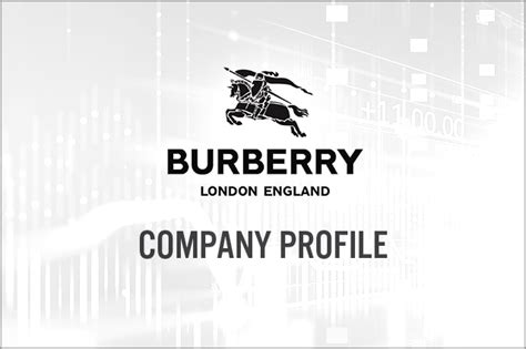 burberry business profile